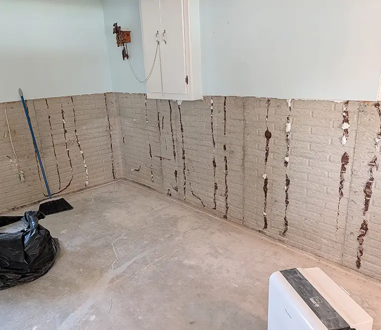 Basement wall with lower drywall removed after water damage